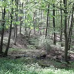 Haus Resi In 펜션 클라이니흐