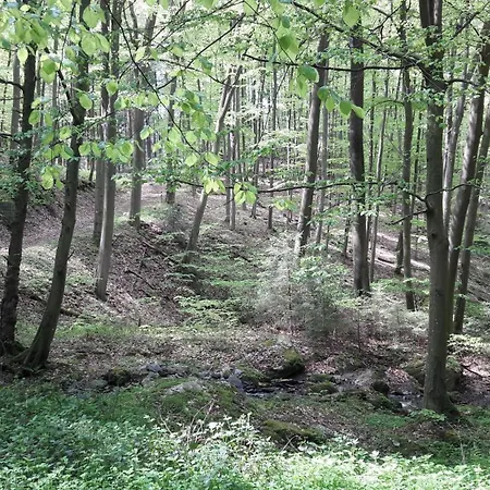 Haus Resi In Сasa de vacaciones Kleinich