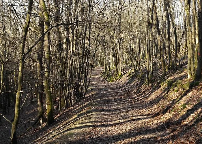 Haus Resi Casa vacanze Kleinich