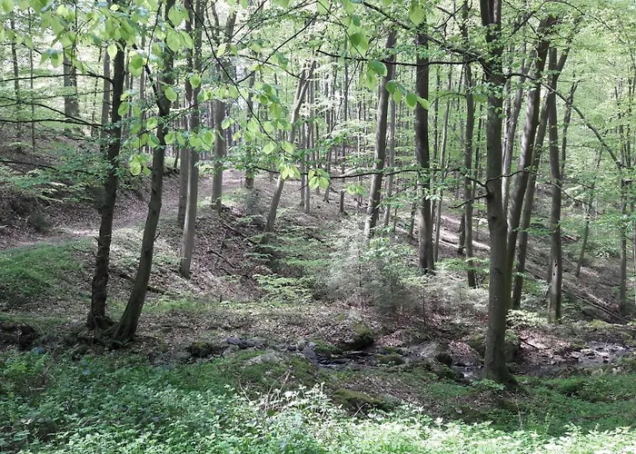 Haus Resi Casa vacanze Kleinich