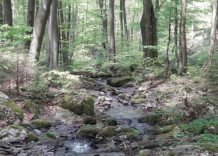 Haus Resi * Kleinich